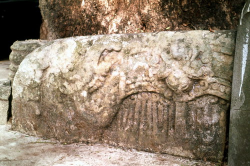 สงวนลิขสิทธิ์โดย</strong> ห้องสมุด ศ.ม.จ.สุภัทรดิศ ดิศกุล