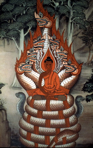 สงวนลิขสิทธิ์โดย</strong> ห้องสมุด ศ.ม.จ.สุภัทรดิศ ดิศกุล