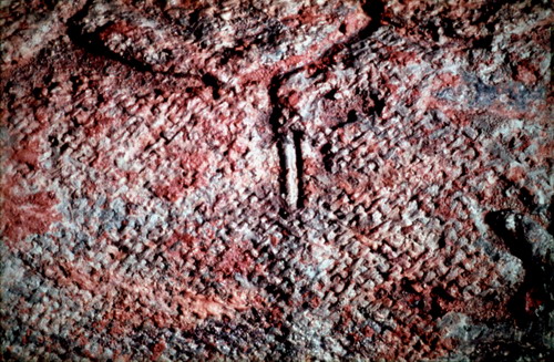 สงวนลิขสิทธิ์โดย</strong> ห้องสมุด ศ.ม.จ.สุภัทรดิศ ดิศกุล