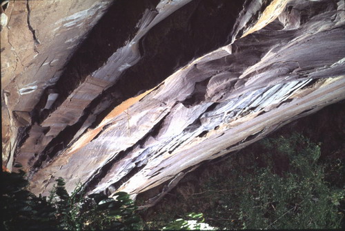 สงวนลิขสิทธิ์โดย</strong> ห้องสมุด ศ.ม.จ.สุภัทรดิศ ดิศกุล