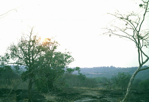 สงวนลิขสิทธิ์โดย</strong> ห้องสมุด ศ.ม.จ.สุภัทรดิศ ดิศกุล