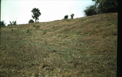 สงวนลิขสิทธิ์โดย</strong> ห้องสมุด ศ.ม.จ.สุภัทรดิศ ดิศกุล