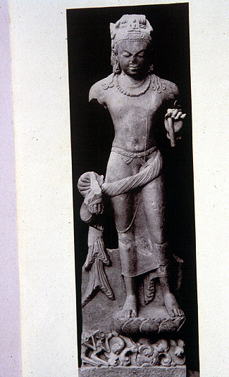 สงวนลิขสิทธิ์โดย</strong> ห้องสมุด ศ.ม.จ.สุภัทรดิศ ดิศกุล