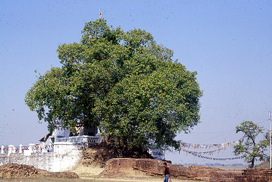 สงวนลิขสิทธิ์โดย</strong> ห้องสมุด ศ.ม.จ.สุภัทรดิศ ดิศกุล