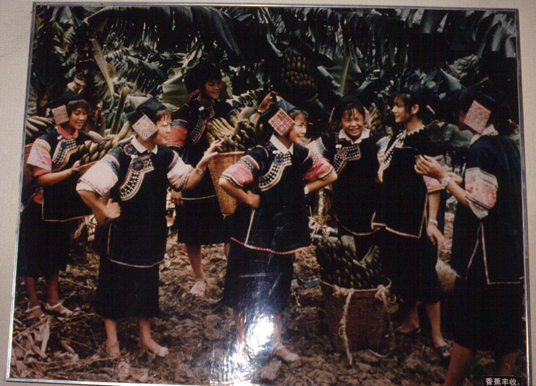 สงวนลิขสิทธิ์โดย</strong> ห้องสมุด ศ.ม.จ.สุภัทรดิศ ดิศกุล