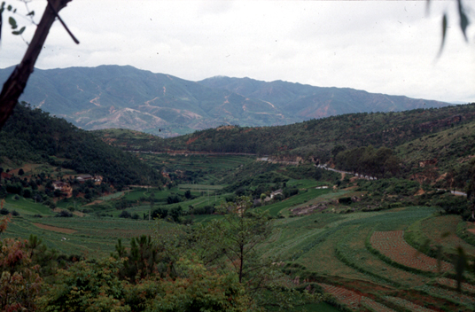 สงวนลิขสิทธิ์โดย</strong> ห้องสมุด ศ.ม.จ.สุภัทรดิศ ดิศกุล