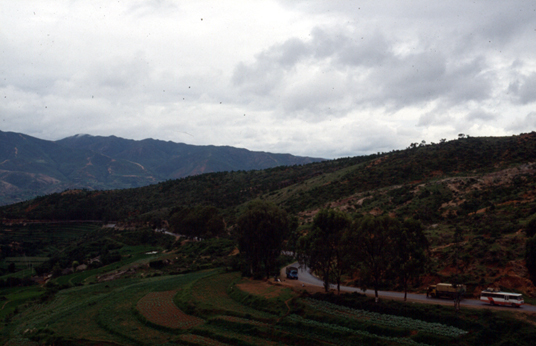 สงวนลิขสิทธิ์โดย</strong> ห้องสมุด ศ.ม.จ.สุภัทรดิศ ดิศกุล