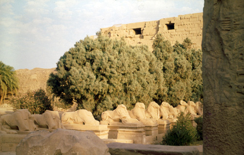 สงวนลิขสิทธิ์โดย</strong> ห้องสมุด ศ.ม.จ.สุภัทรดิศ ดิศกุล