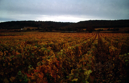 สงวนลิขสิทธิ์โดย</strong> ห้องสมุด ศ.ม.จ.สุภัทรดิศ ดิศกุล