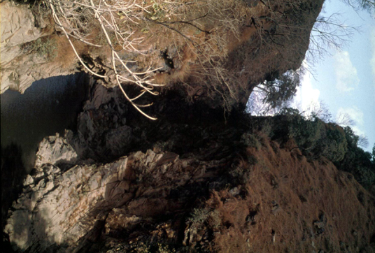 สงวนลิขสิทธิ์โดย</strong> ห้องสมุด ศ.ม.จ.สุภัทรดิศ ดิศกุล