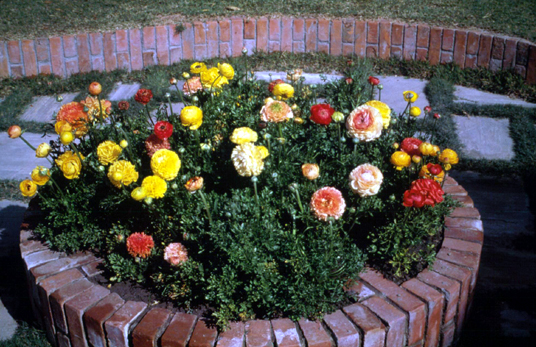 สงวนลิขสิทธิ์โดย</strong> ห้องสมุด ศ.ม.จ.สุภัทรดิศ ดิศกุล