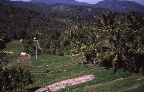 สงวนลิขสิทธิ์โดย</strong> ห้องสมุด ศ.ม.จ.สุภัทรดิศ ดิศกุล