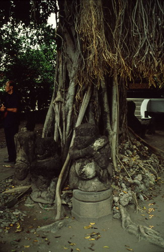 สงวนลิขสิทธิ์โดย</strong> ห้องสมุด ศ.ม.จ.สุภัทรดิศ ดิศกุล
