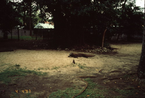 สงวนลิขสิทธิ์โดย</strong> ห้องสมุด ศ.ม.จ.สุภัทรดิศ ดิศกุล