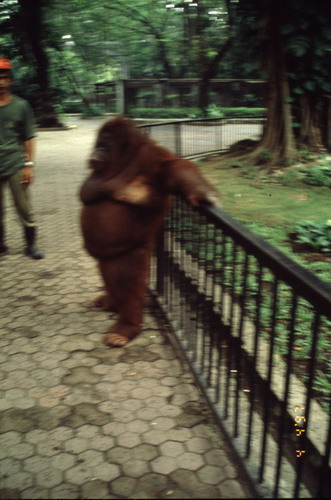 สงวนลิขสิทธิ์โดย</strong> ห้องสมุด ศ.ม.จ.สุภัทรดิศ ดิศกุล