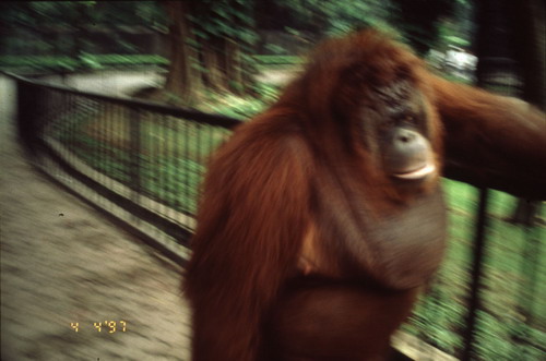 สงวนลิขสิทธิ์โดย</strong> ห้องสมุด ศ.ม.จ.สุภัทรดิศ ดิศกุล