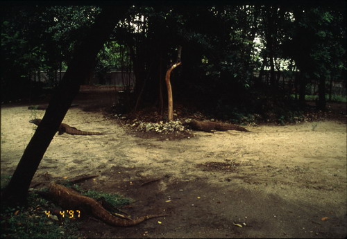 สงวนลิขสิทธิ์โดย</strong> ห้องสมุด ศ.ม.จ.สุภัทรดิศ ดิศกุล