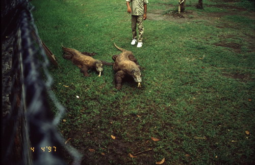 สงวนลิขสิทธิ์โดย</strong> ห้องสมุด ศ.ม.จ.สุภัทรดิศ ดิศกุล