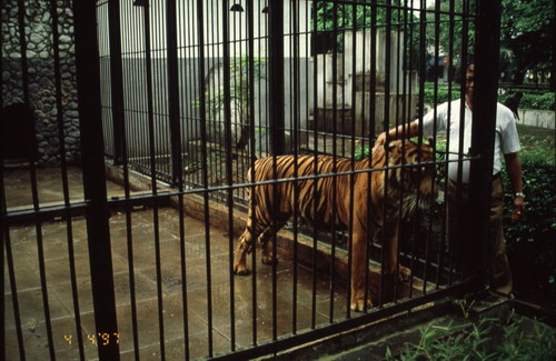 สงวนลิขสิทธิ์โดย</strong> ห้องสมุด ศ.ม.จ.สุภัทรดิศ ดิศกุล