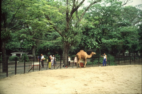 สงวนลิขสิทธิ์โดย</strong> ห้องสมุด ศ.ม.จ.สุภัทรดิศ ดิศกุล